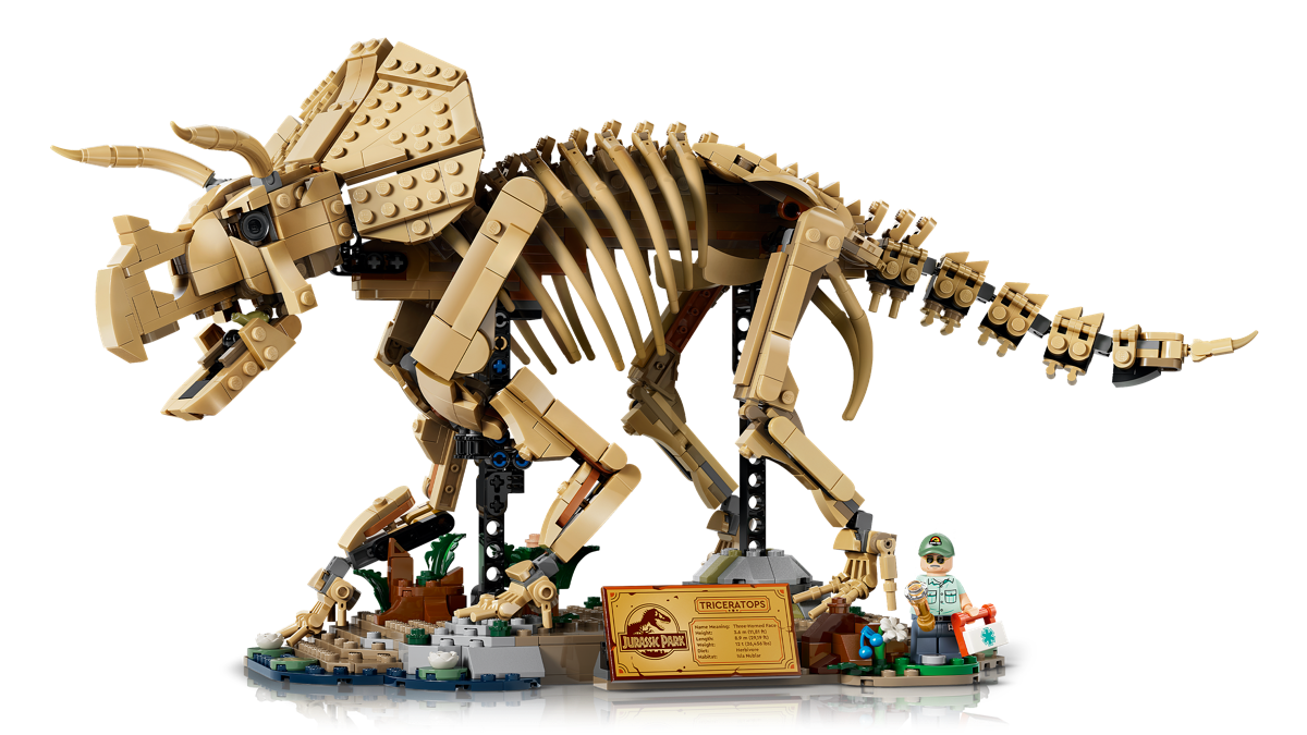 Dinosaur Fossils: Triceratops